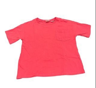 Zara Pink Top