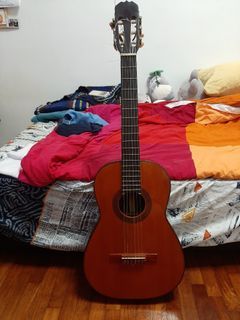 Acoustic guitar
