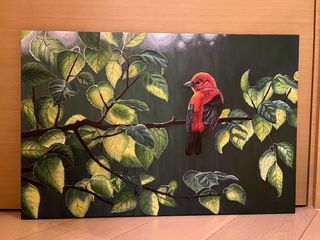 （分類：）位於 。 由 bobowyb 提交（商品編號 1221617801，圖片 1）。簡介： 。