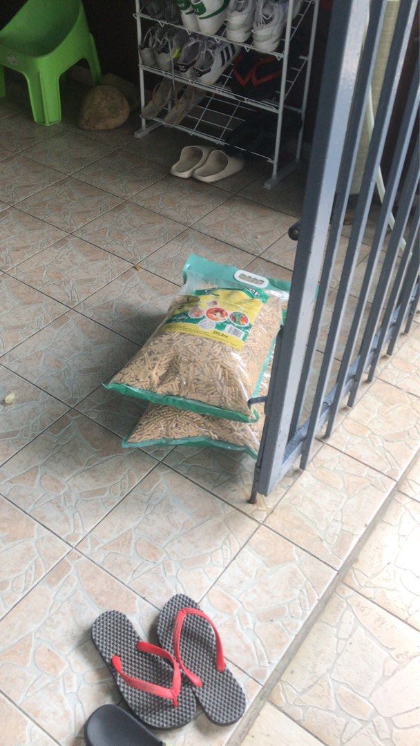 Cat litter Alltra pinewood 20L, Pet Supplies, Homes & Other Pet