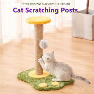 (Category: ) located in . Submitted by joydomo (Listing ID 1221532436, Image 1). Description: .