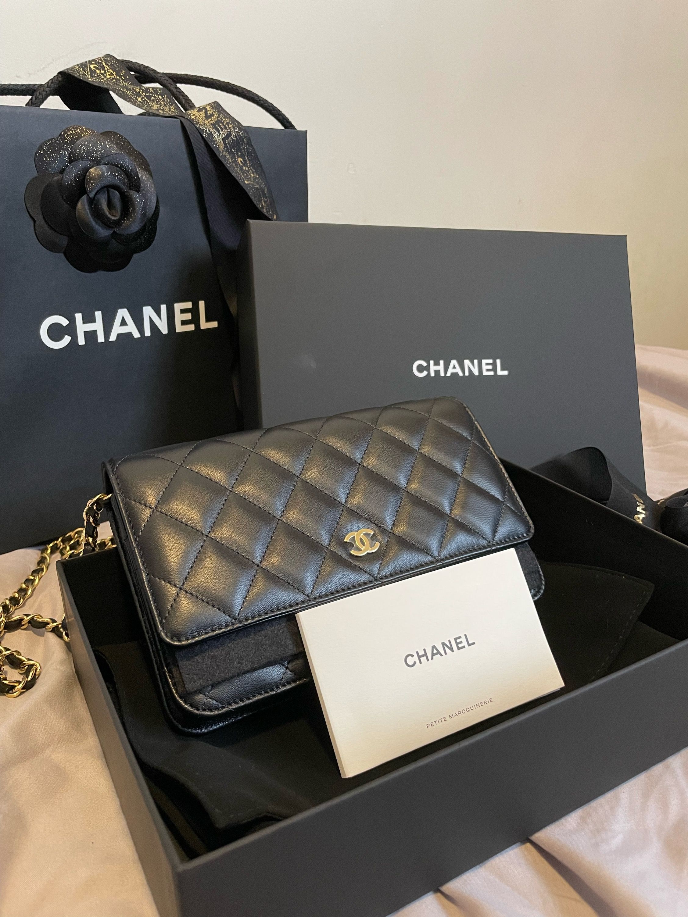 Chanel Classic Wallet On Chain (WOC), Luxury, Bags & Wallets on Carousell