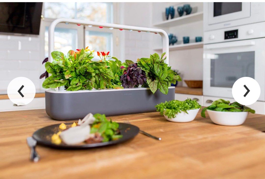 Click and Grow Smart Garden, Furniture & Home Living, Gardening, Pots