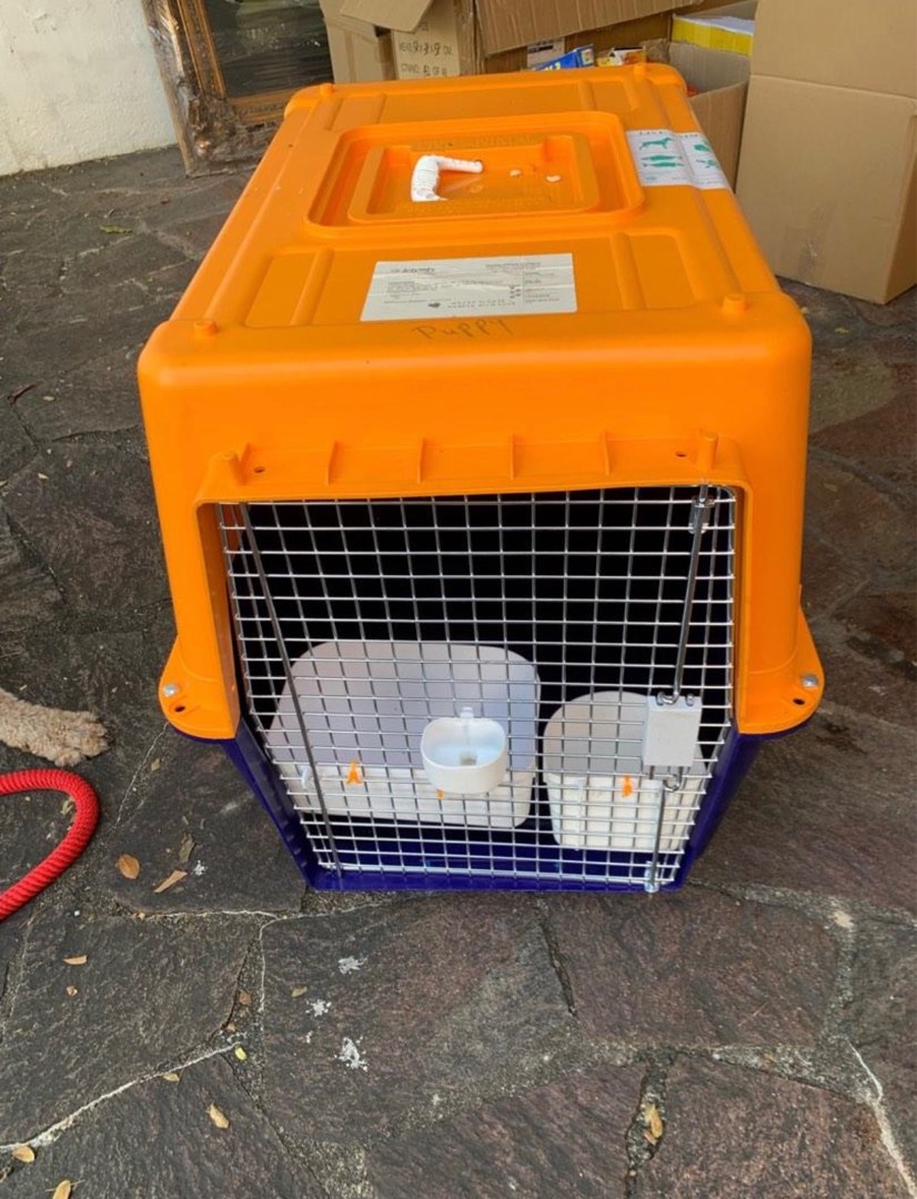 Dog Crate, Pet Supplies, Homes & Other Pet Accessories on Carousell