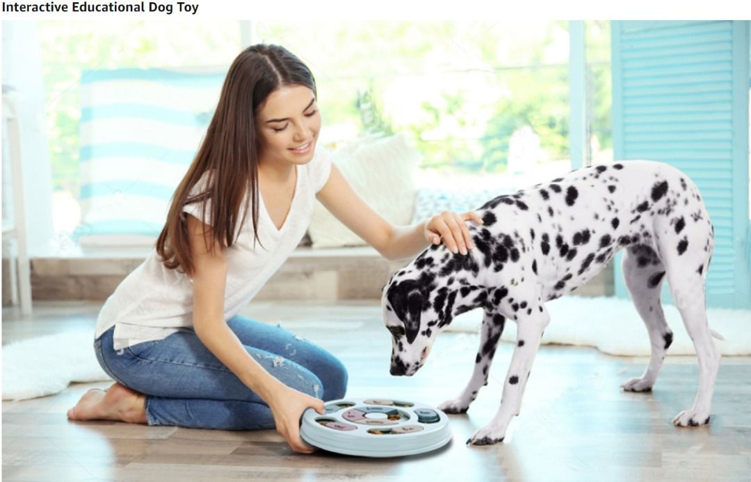 Educational on sale dog toys