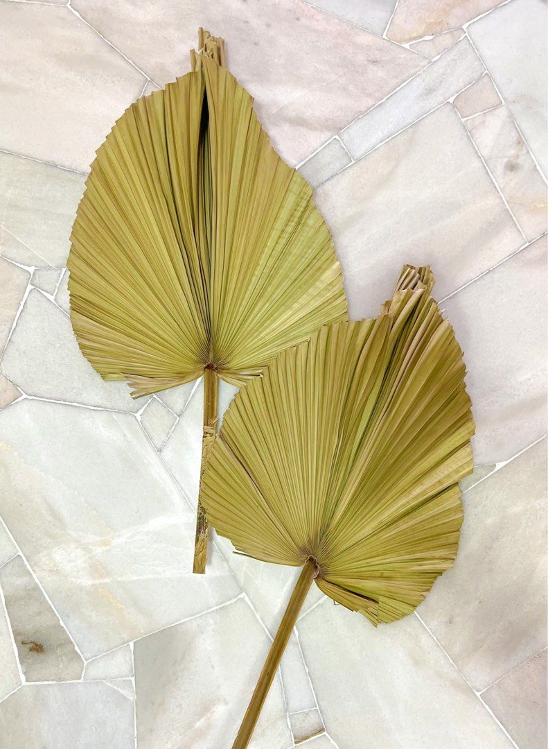 Dried palm leaves decor, Furniture & Home Living, Home Decor
