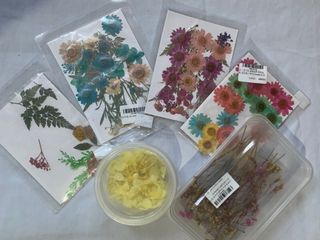 DRIED PRESSED FLOWERS ASSORTED