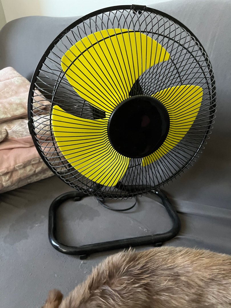 electric-fan-on-carousell