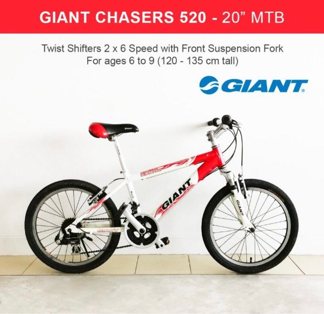 Giant 20 inch shop mountain bike