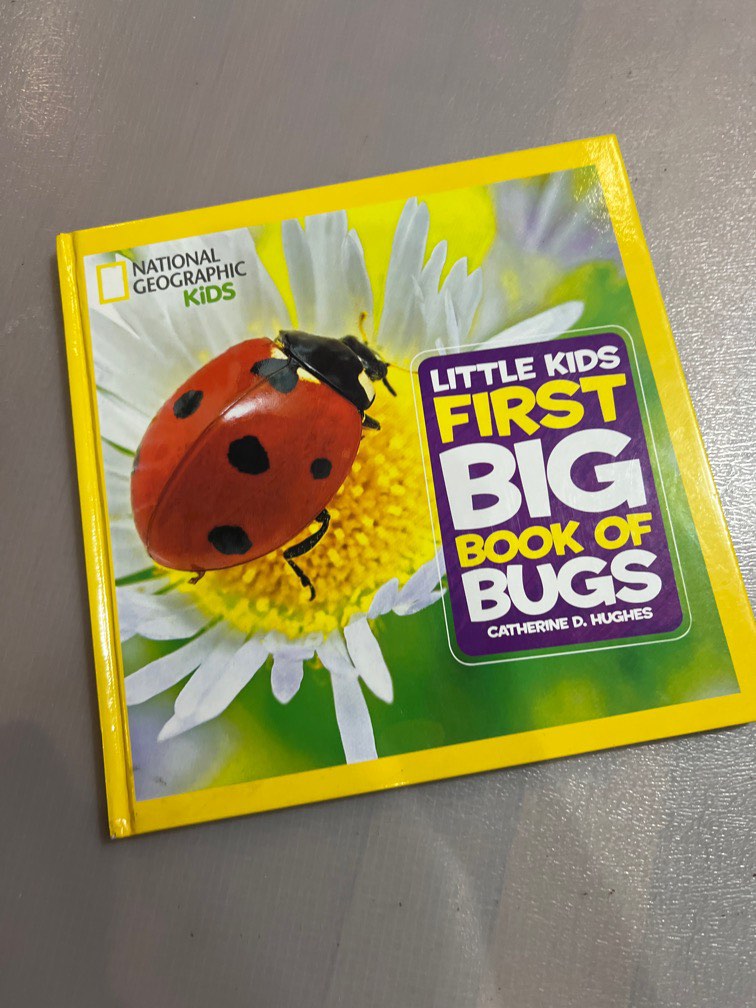 Little kids first big book of bugs, Hobbies  Toys, Books  Magazines, Children's  Books on Carousell
