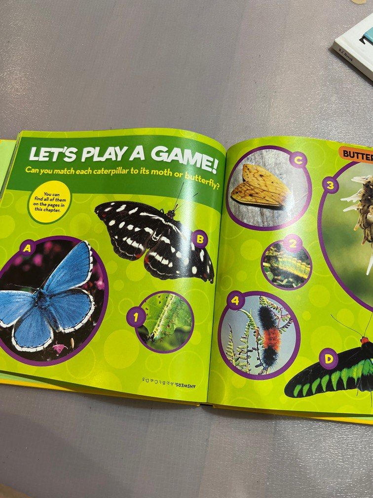 Little kids first big book of bugs on Carousell