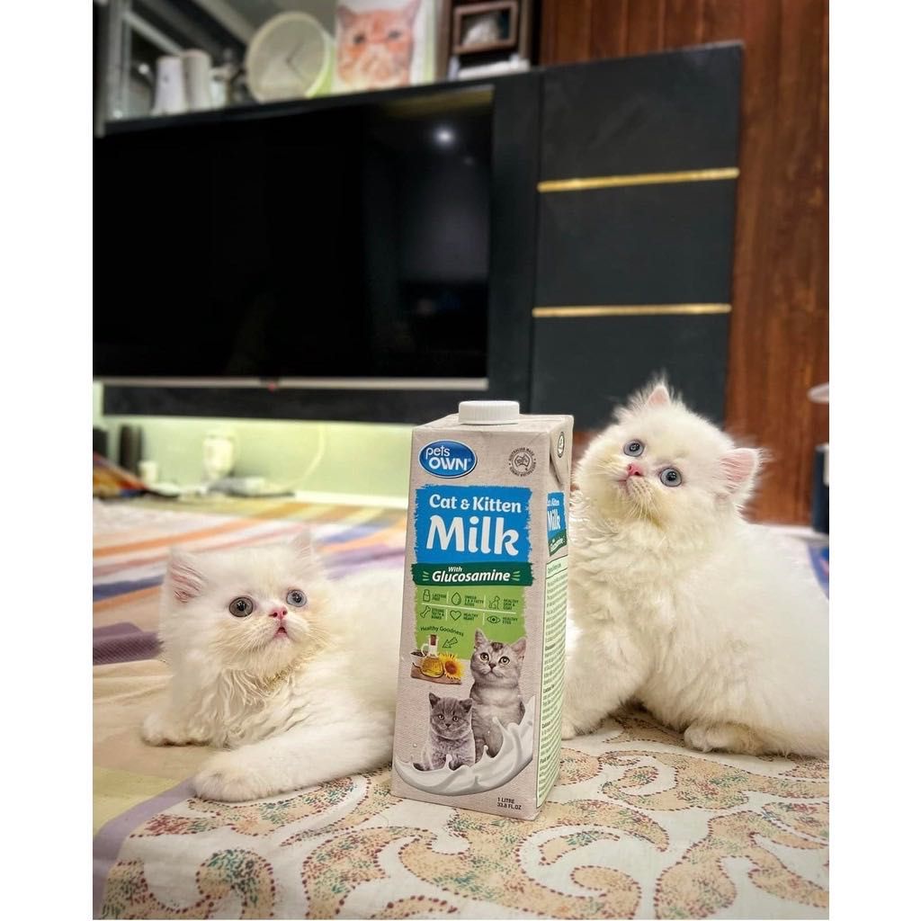 Pets Own CAT and KITTEN Milk with Glucosamine 1Liter