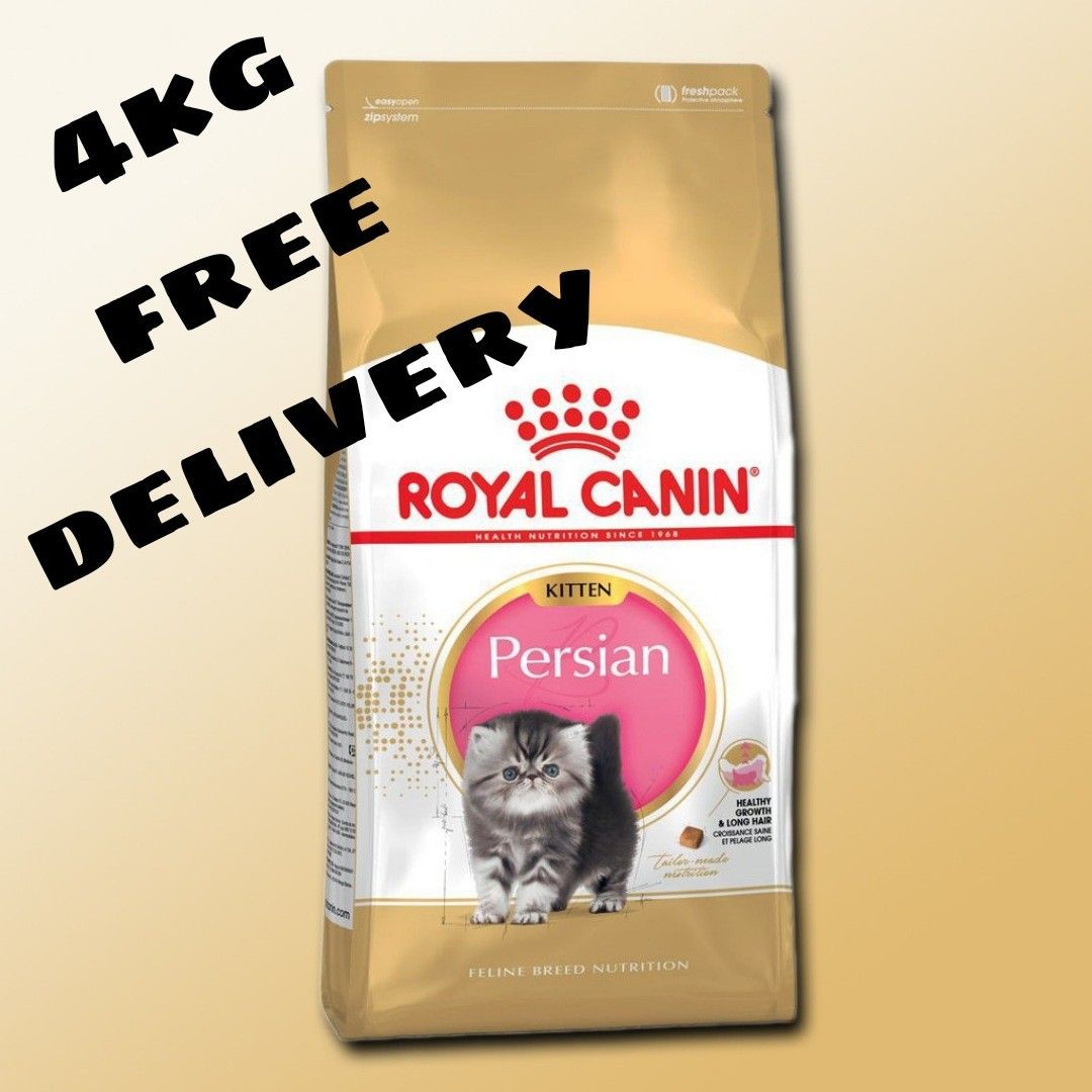 Royal canin persian kitten 4kg sale