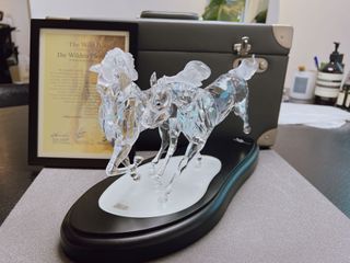 （分類：）位於 。 由 cccccinnnn15 提交（商品編號 1221573445，圖片 1）。簡介： 。