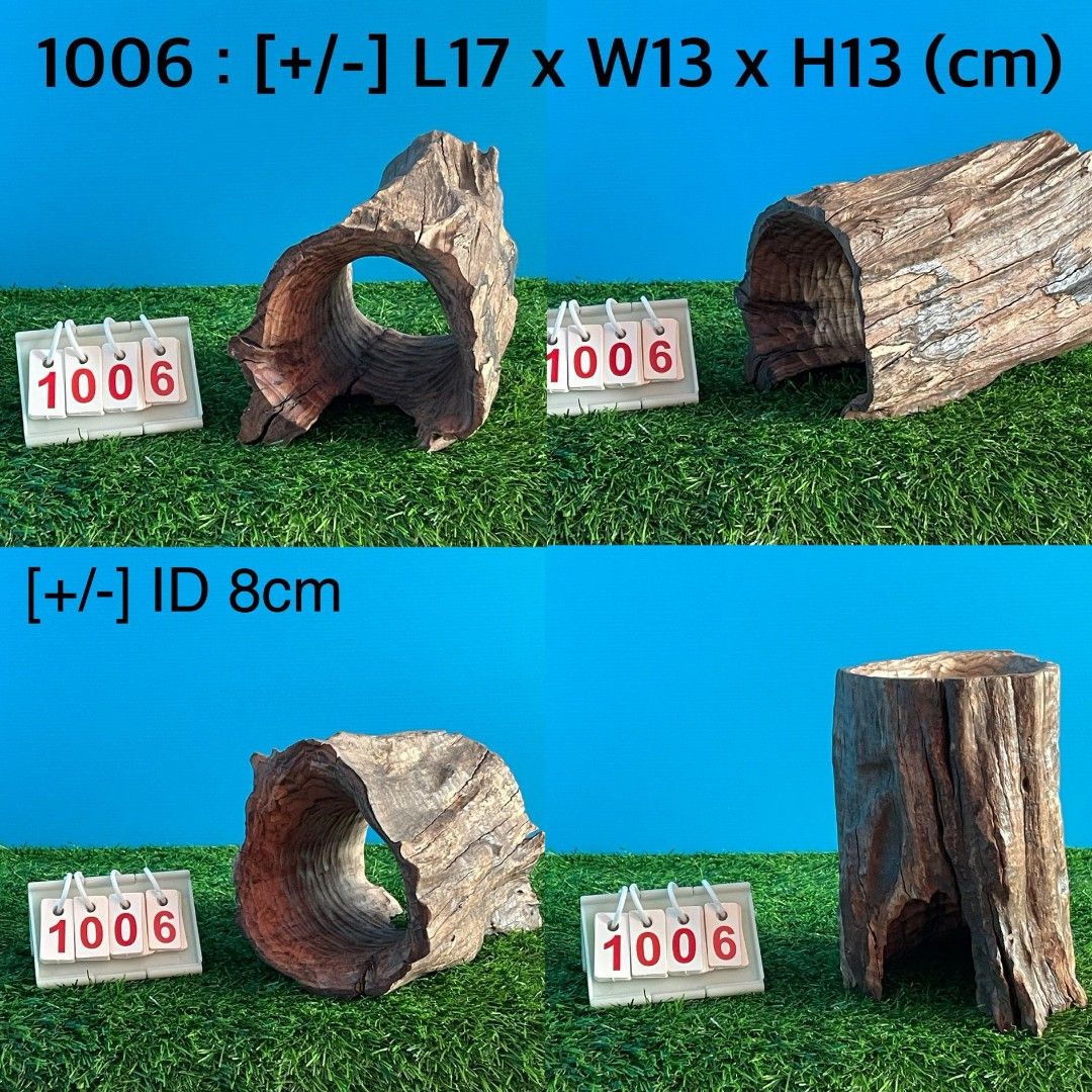 Legno Per Acquario (Driftwood) Naturale Poroso - Con Fori E Tunnel, Per Pesci E Gamberetti - Misura 30-40 Cm