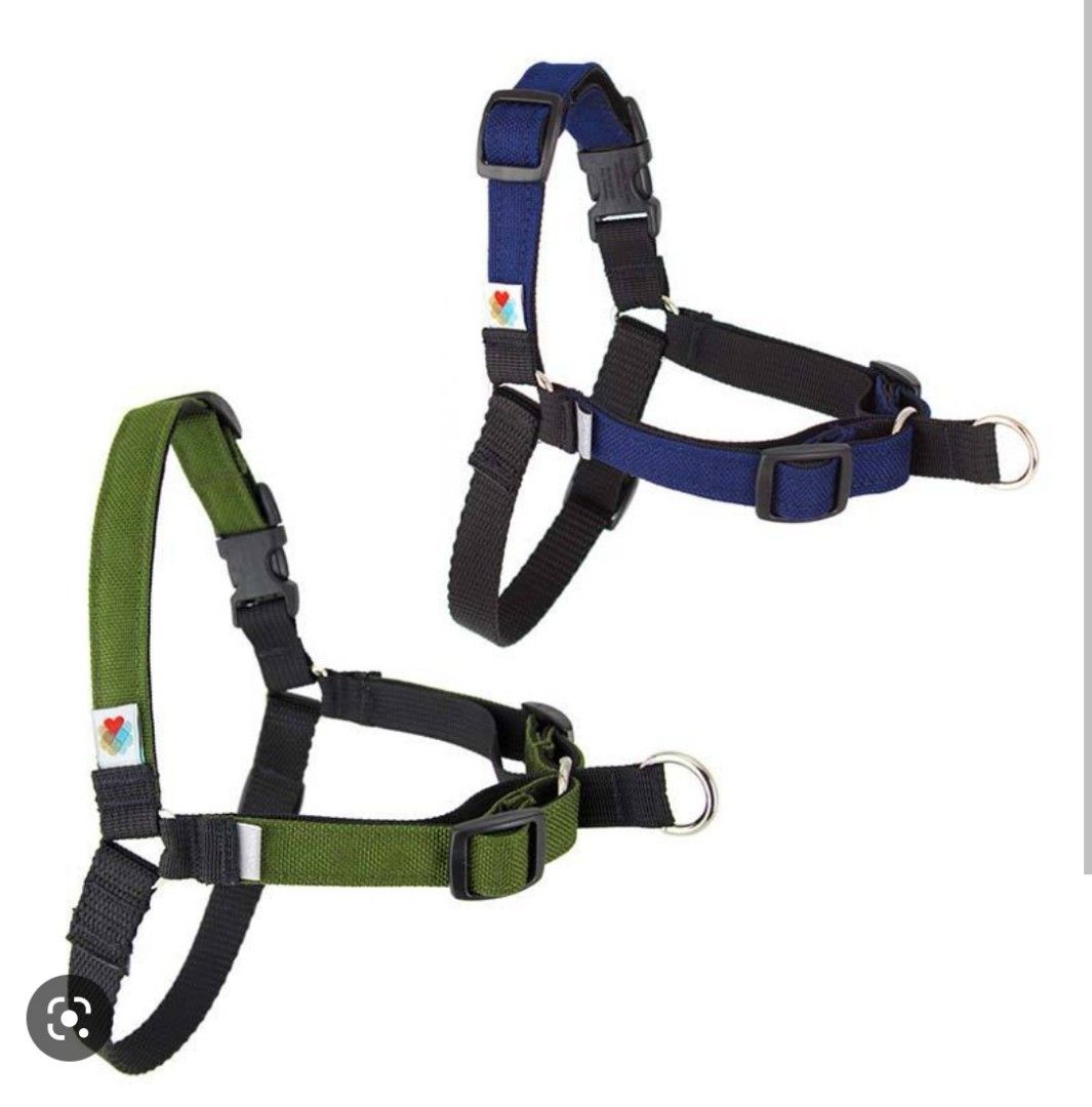 Wildebeest Linden harness Dog harness, Pet Supplies, Homes & Other Pet
