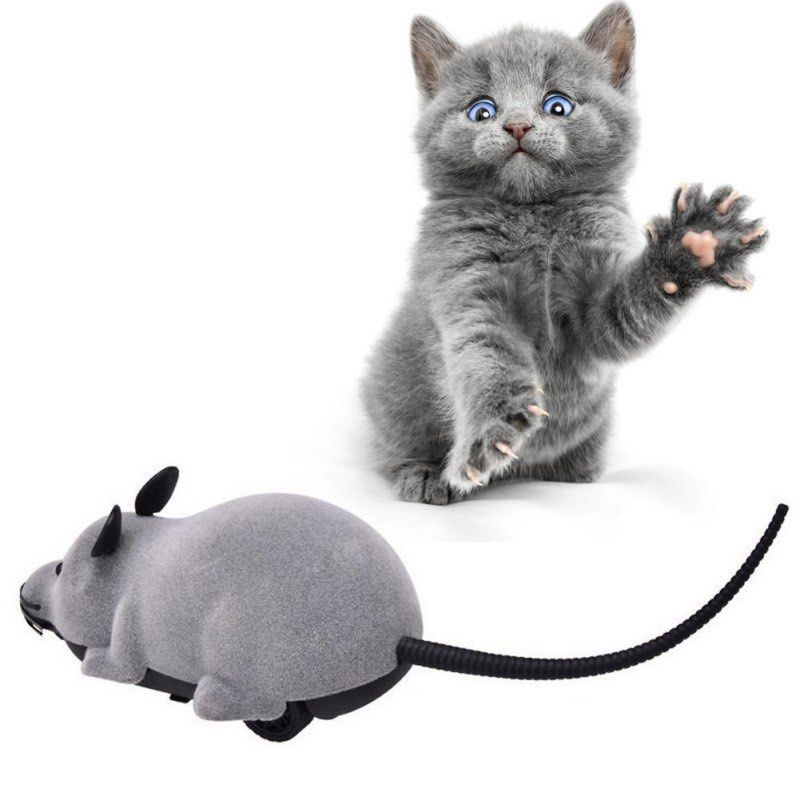 Remote mouse store toy for cat