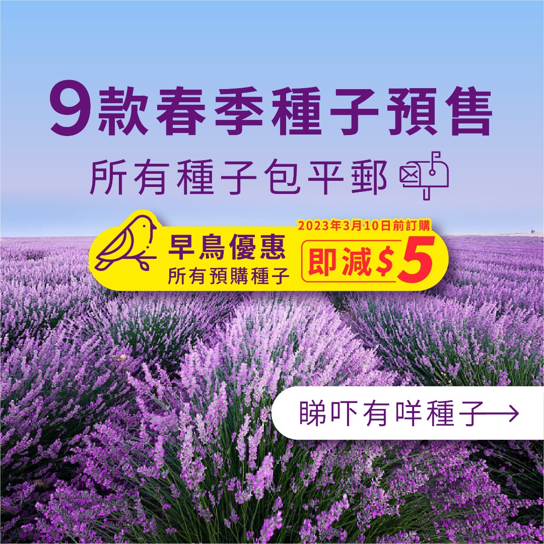 特売 牧草種子見本 見本棚 昭和レトロ 見本棚 - www.live-forlife.com