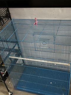 (Category: ) located in . Submitted by mag_retail (Listing ID 1218354563, Image 1). Description: .