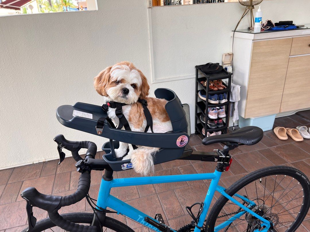 BuddyRider Bicycle Dog Carrier, Pet Supplies, Homes & Other Pet