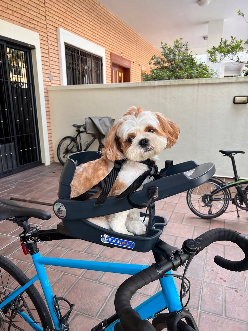 BuddyRider Bicycle Dog Carrier, Pet Supplies, Homes & Other Pet
