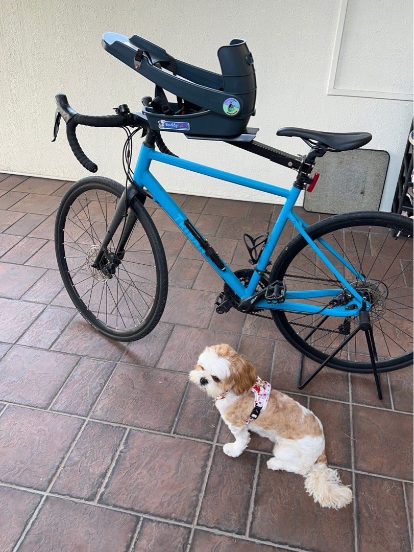 BuddyRider Bicycle Dog Carrier, Pet Supplies, Homes & Other Pet