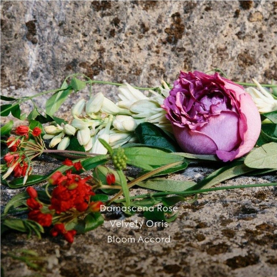 GUCCI Bloom Ambrosia Di Fiori Eau De Parfum Beauty Personal