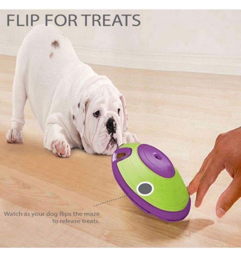 Educational dog toys outlet