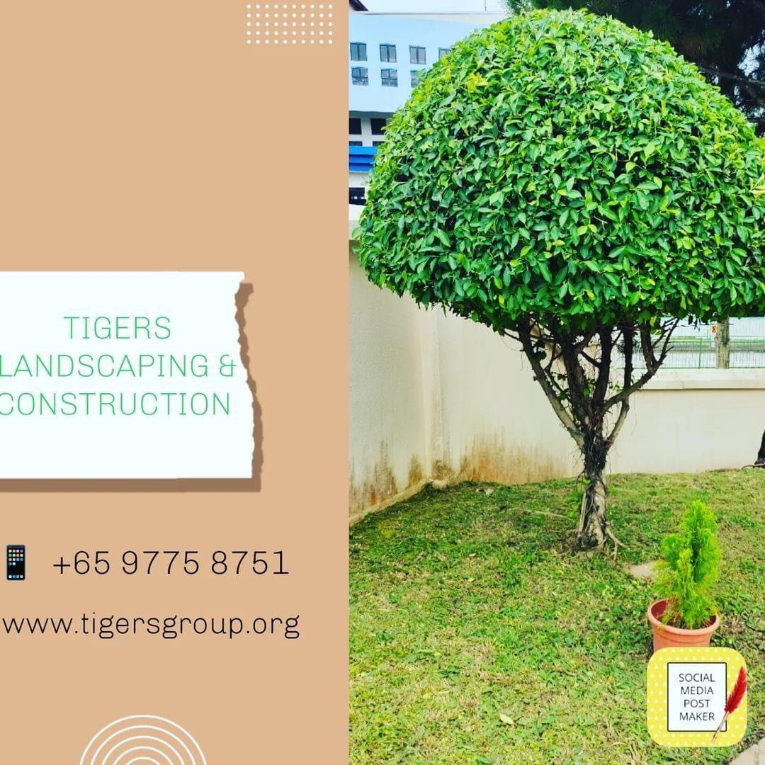 Landscape64884980066307110