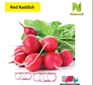 Red Radish Seeds