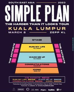 SIMPLE PLAN (Ruin My Life)