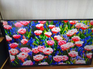 (Category: ) located in . Submitted by steve.kumar (Listing ID 1218278457, Image 1). Description: .