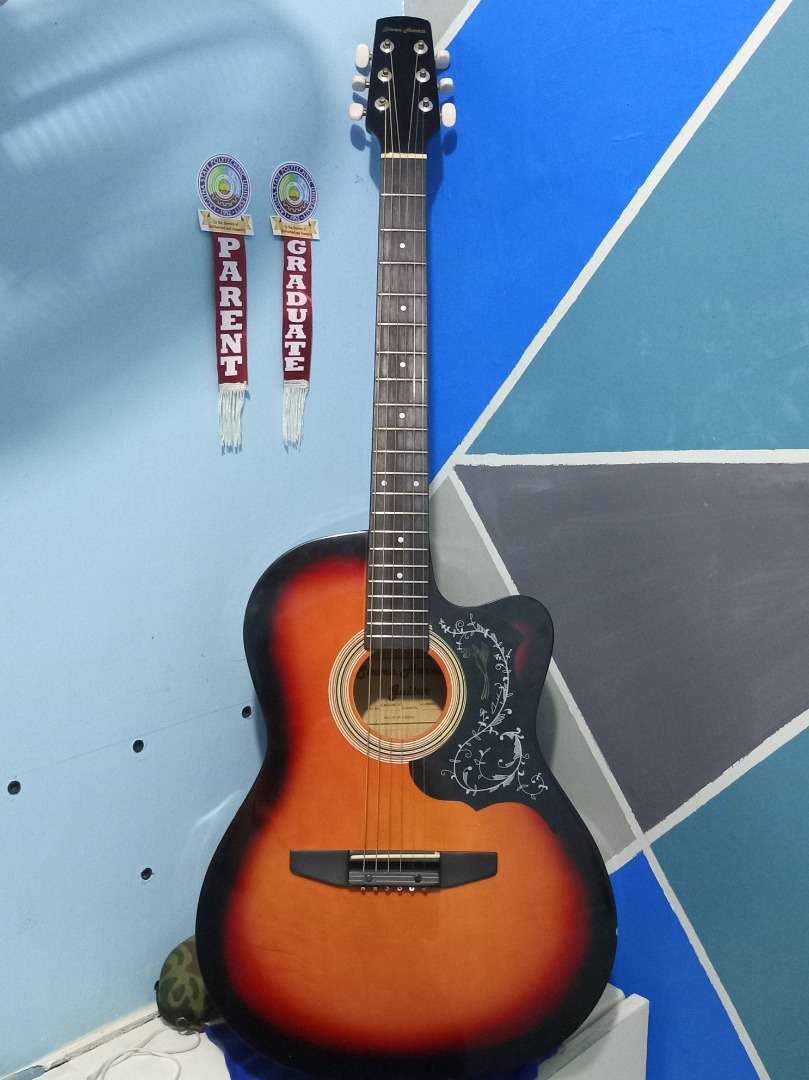 Steven harris acoustic store guitar price