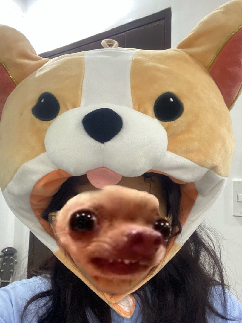SUPER CUTE! CORGI HEAD DRESS PLUSH (Category: Plushies & Soft Toys) located in Orani. Submitted by sheletgo29 (Listing ID 1218371750, Image 1). Description: Corgi Head dress plush For Only 380 Php Brand: Everland NO FLAWS 🍄NO LONG RESERVATION 🍄NO COD/COP 🍄MOD(shoulder by buyer): J&T 🍄MOP: Gcash 🍄LOC:Bataan PLS MANAGE YOUR EXPECTATIONS PRELOVED ITEMS, NEEDS WASHING. NO CANCELLATION.