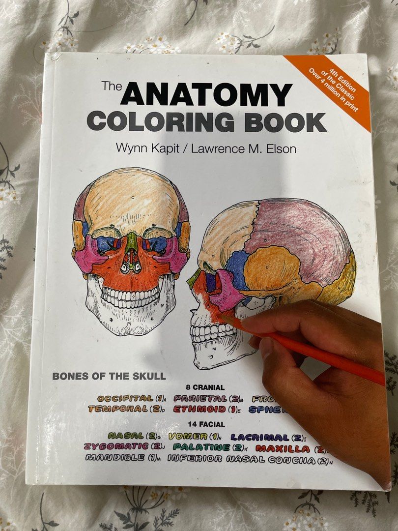 The Anatomy Colouring Book, Hobbies & Toys, Books & Magazines