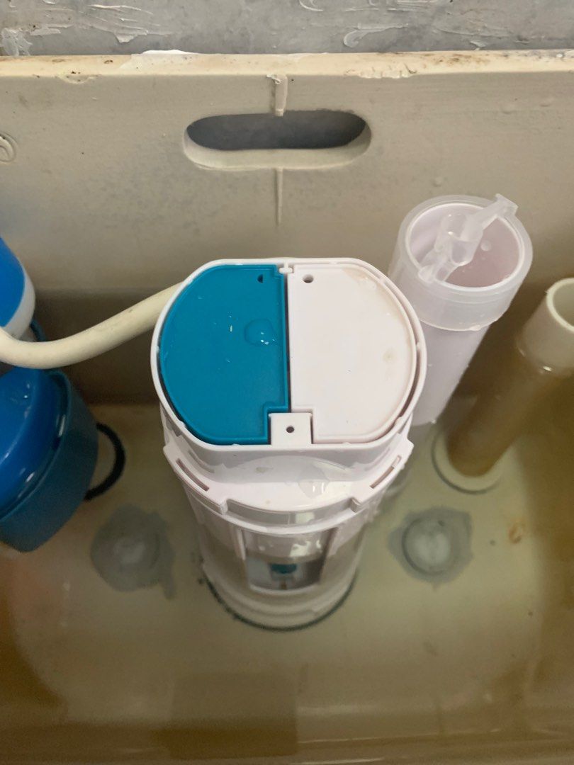 Toilet bowl flush valve repair and replacement, Furniture & Home Living