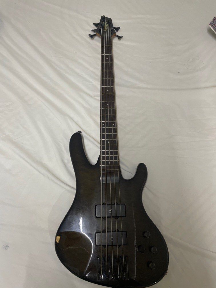 Washburn Bass 5 String XB125 Model, Hobbies & Toys, Music & Media