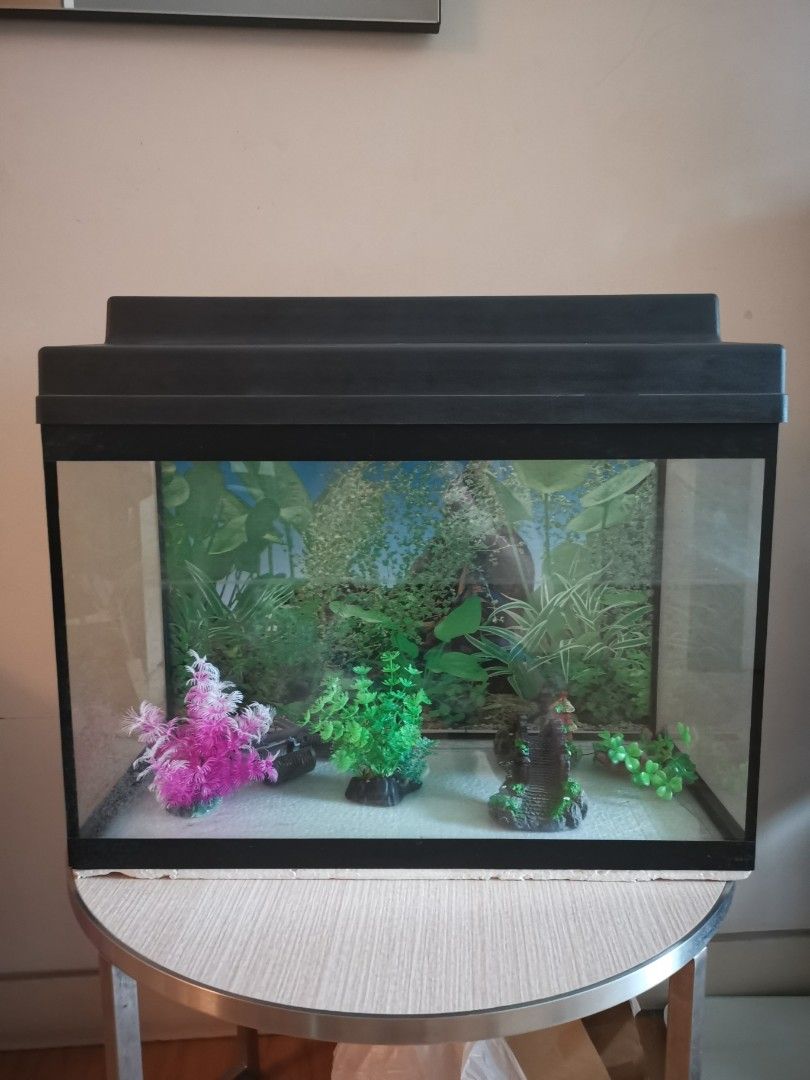Aquarium lights for sale online