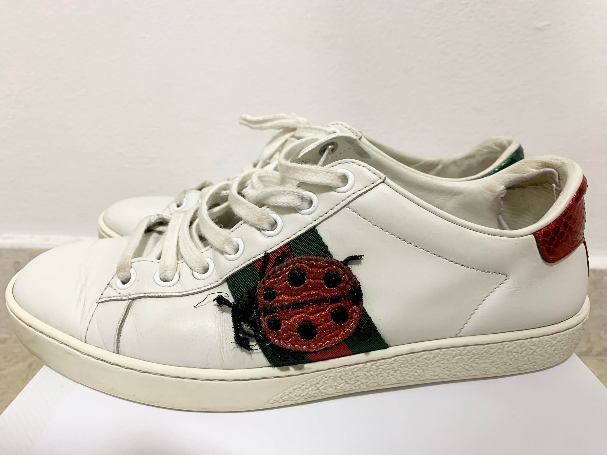 Gucci clearance ladybird trainers