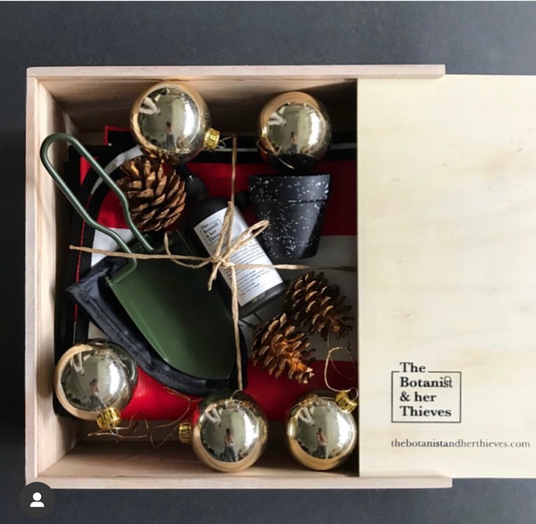 The Botanist and Her Thieves Gardening Plant Starter Tool Kit Set