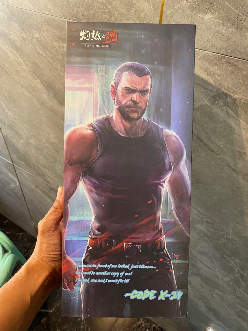 Burning Soul LOGANX24 16 Scale on Carousell