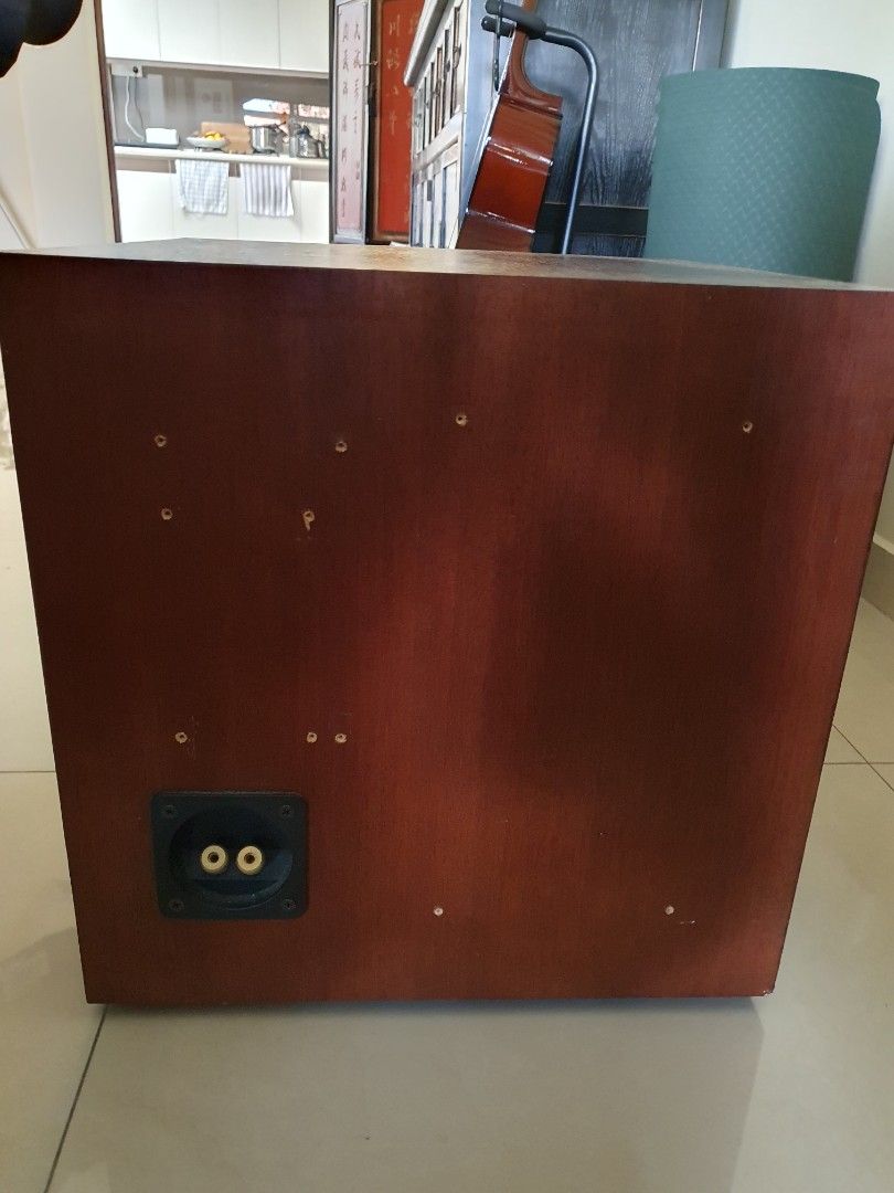 Earthquake passive subwoofer 600W, Audio, Soundbars, Speakers