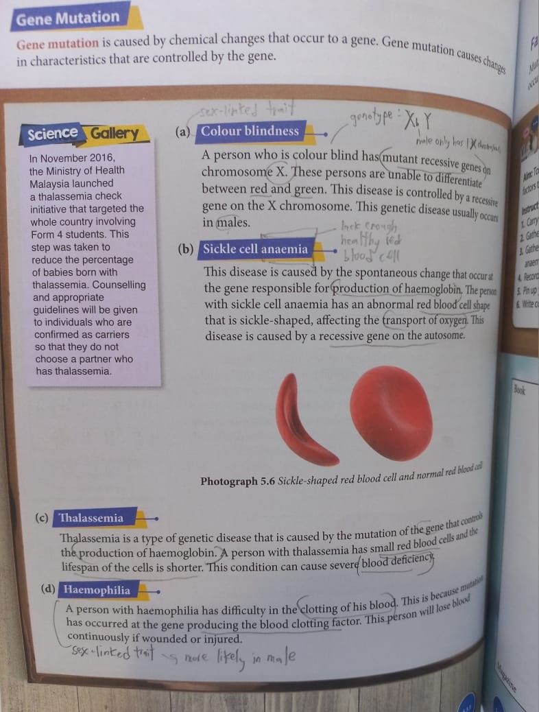 F4 Science Form 4 Textbook KSSM, Hobbies & Toys, Books & Magazines ...