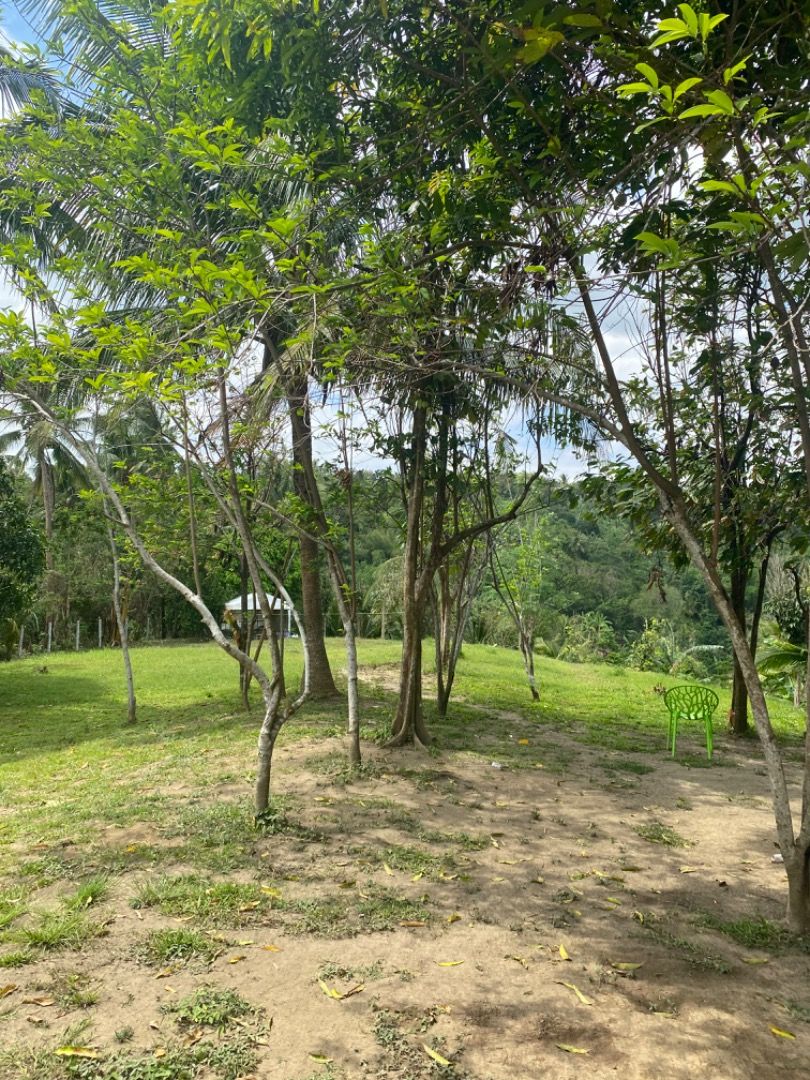 Farm Lot for Sale in Tanauan Batangas, Property, For Sale, Lot on Carousell