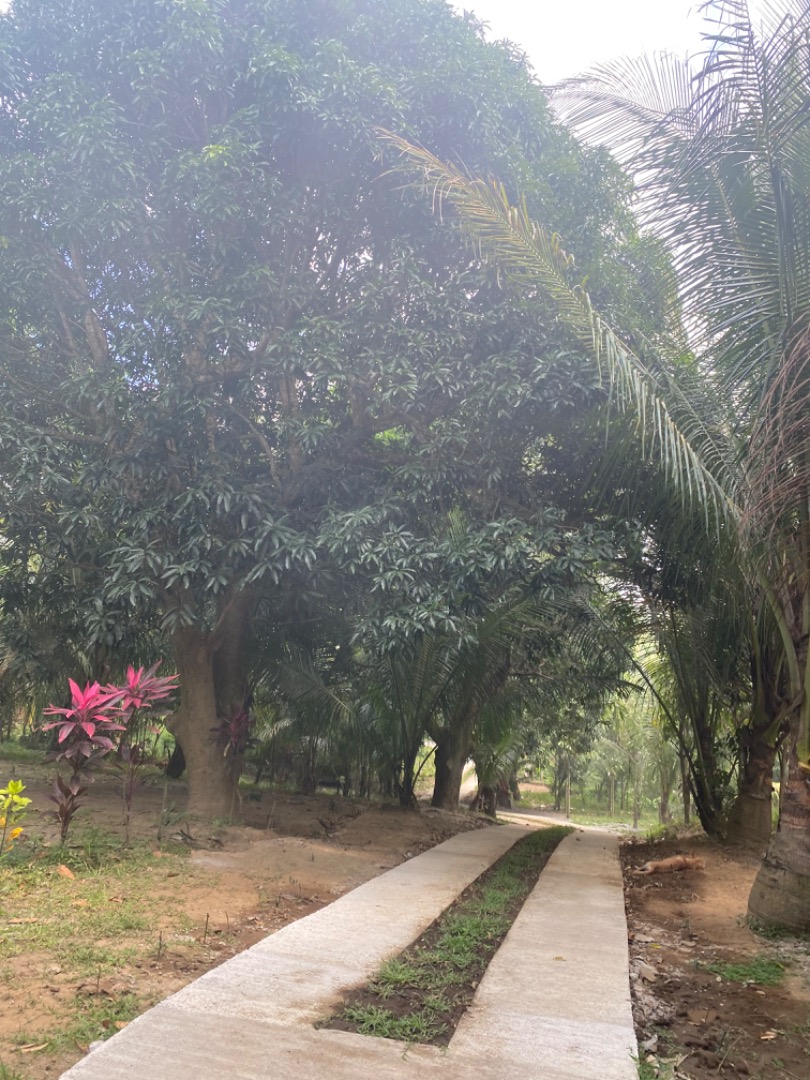 Farm Lot for Sale in Tanauan Batangas, Property, For Sale, Lot on Carousell