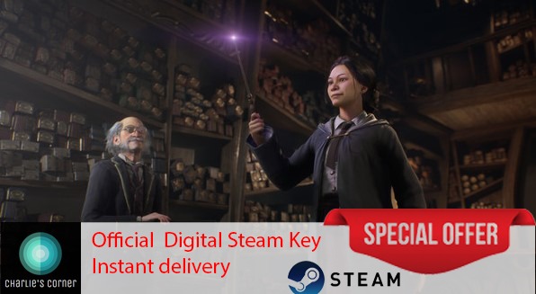 Hogwarts Legacy Steam Digital Key, Video Gaming, Video Games, Others on ...