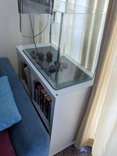 (Category: ) located in . Submitted by peterjabe (Listing ID 1221678153, Image 1). Description: .