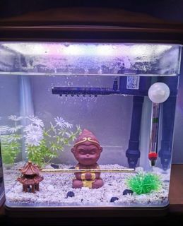 (Category: ) located in . Submitted by richhwang (Listing ID 1221740574, Image 1). Description: .