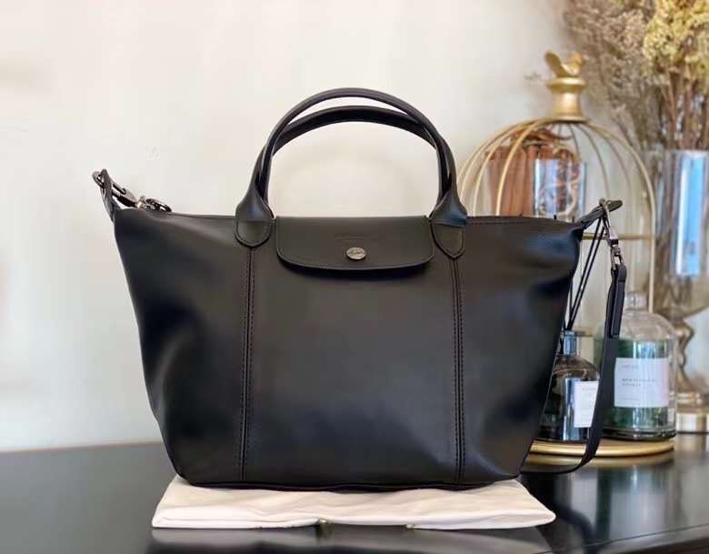 Longchamp sling bag small size 2025