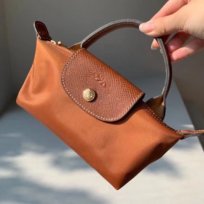 brown longchamp small pouch